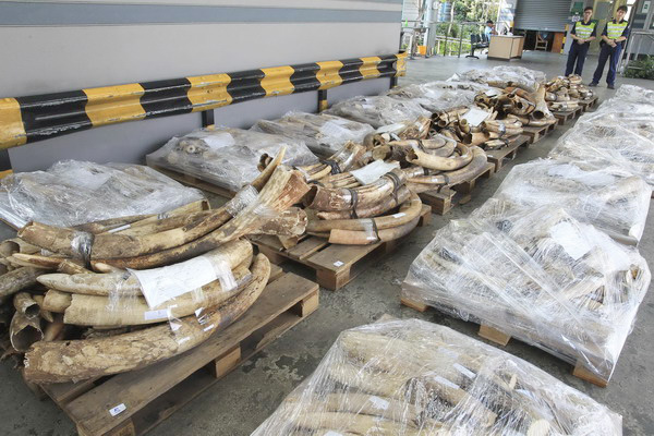 Measures curb illegal ivory trade in China
