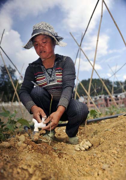 Lingering droughts affect 16.7m people in SW China