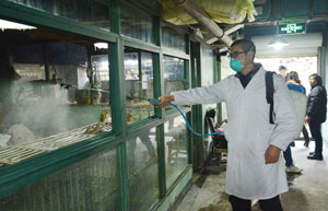H7N9 detected in South China poultry farm