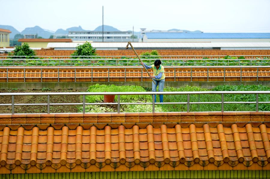 Roof garden in Liuzhou