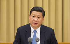 China to balance reform, development, stability