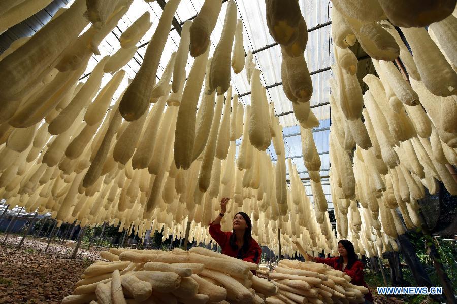 Local loofah cooperation developed in Jiangxi
