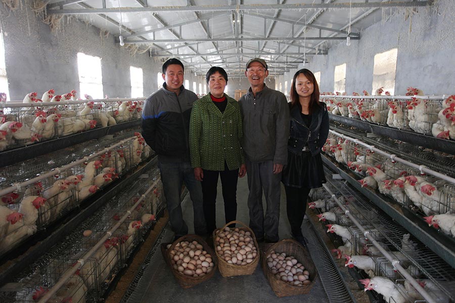 Migrant couple returns to hometown to raise chickens