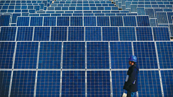 Solar panel tariffs 'harm green sector'