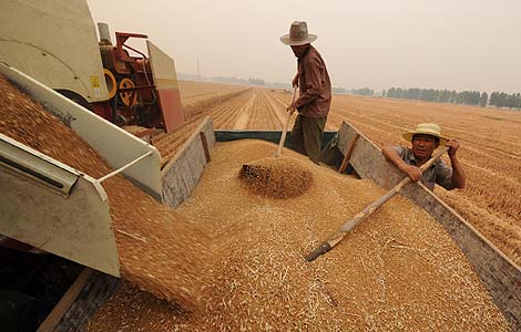 China's summer grain output grows 2.8%