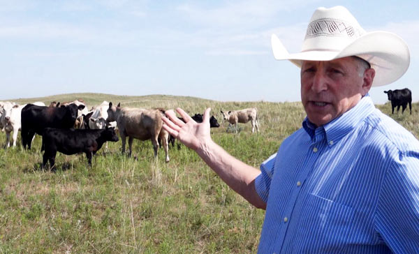 Beef deal benefits Nebraska corn crop