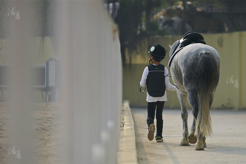 Growing up on back of a horse