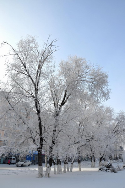 Temperature in N China city drops to -43 C