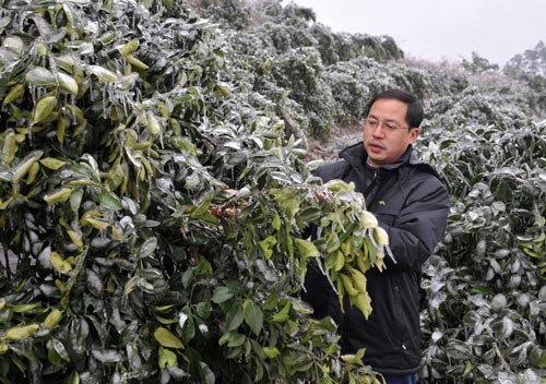 Heavy snow, icy rain wreck havoc in South China