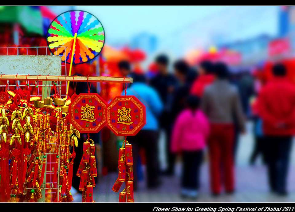 Spring Festival photos from readers [Part V]