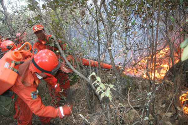 Forest engulfed in blaze; yet to be tamed
