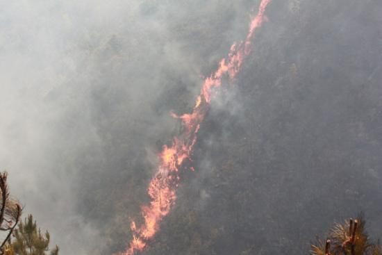 Thousand battle forest fire in SW China