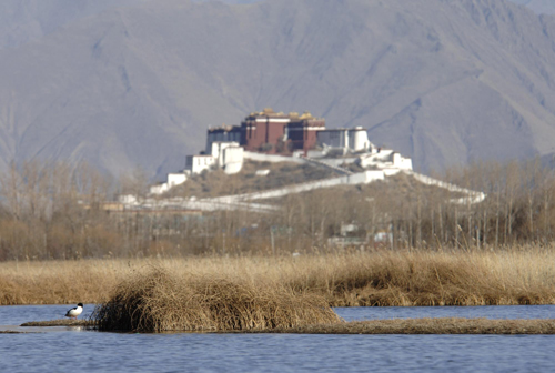 Ecological spotlight on Tibet