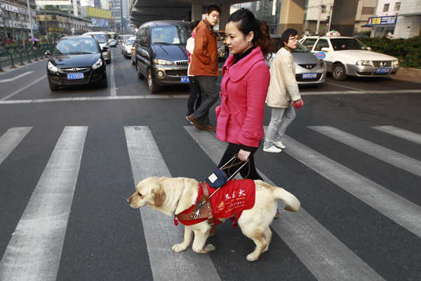 Owners seek a spot for their guide dogs