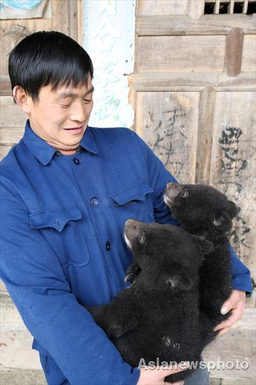 Farmer in Sichuan adopts twin bears