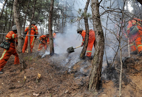 Forest fire in E China extinguished
