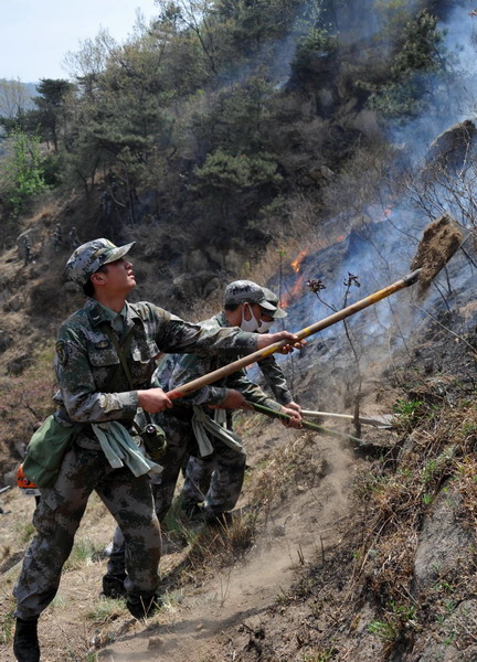 Mountain fire rekindled in E China