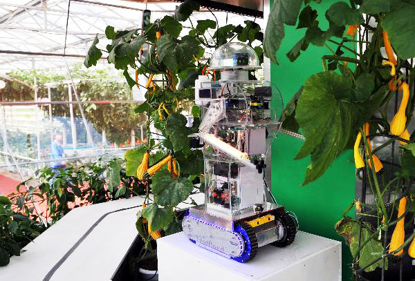 Robot helps manage greenhouse in E China