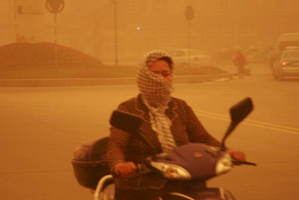 Sandstorms hit NW China, damage crops
