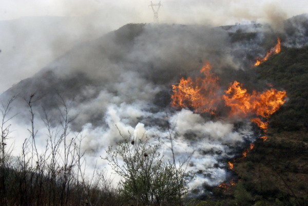 Forest fire breaks out in N China