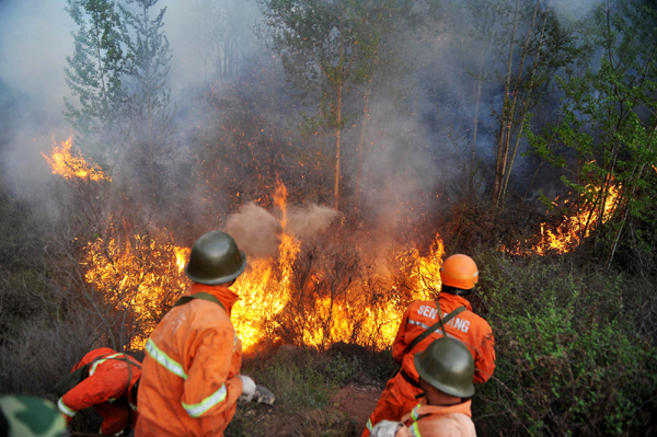 Lightning sparks forest fires in N China