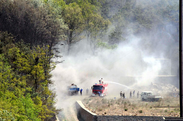 Forest fire breaks out in NE China