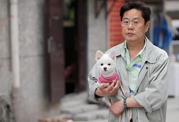 Shanghai: One pet dog per household
