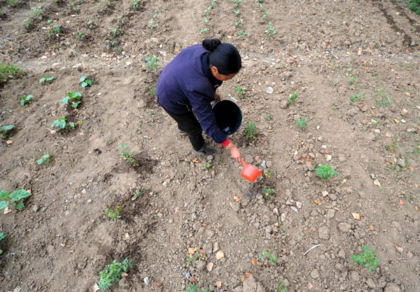 Severe drought ravages Central and East China