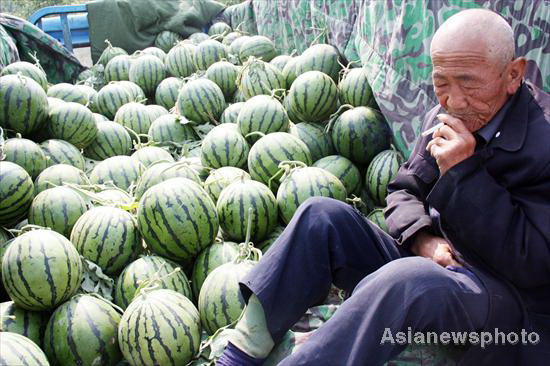 Watermelons burst up, so does the sale