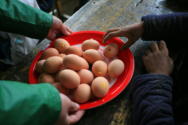 One-egg-a-day scheme improves pupils' diets