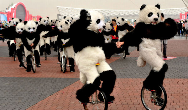 Panda performers' unicycle show