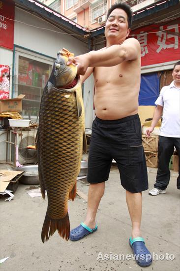 Man lands whopper of a fish