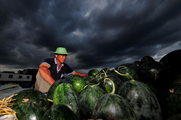 Rain adds to watermelon growers' sales woes