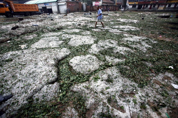 Hailstones pelt central China county