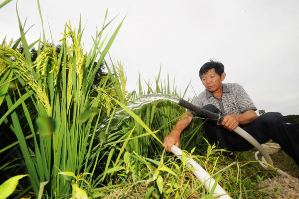 C China's Hunan hit by lasting droughts