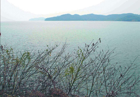 Dam proposal for Poyang Lake causes controversy