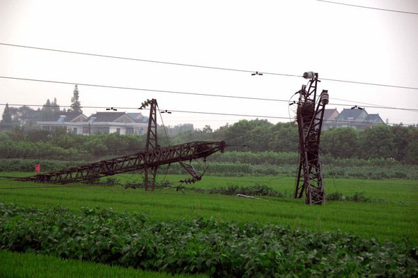 Pylons blown over by strong wind in E China