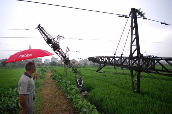 Pylons blown over by strong wind in E China