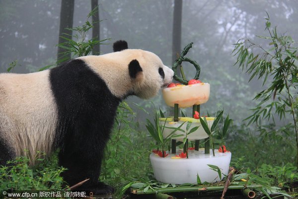 Returned giant pandas celebrate birthday