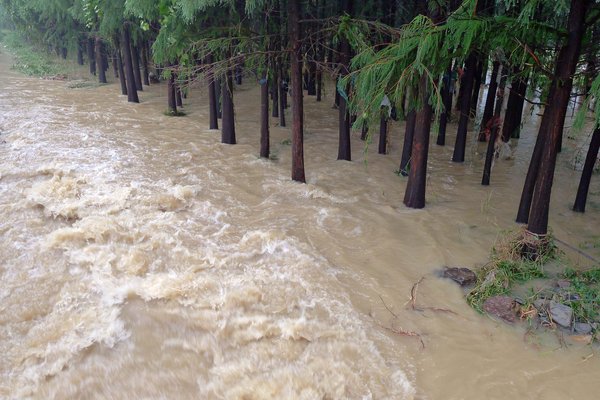 Storm lands in E China, triggering flood