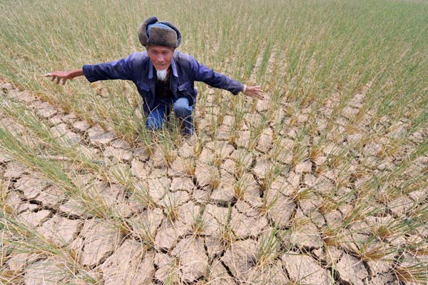 Climate change threatens China's crops
