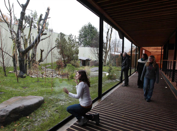 Edinburgh Zoo ready for China's pandas