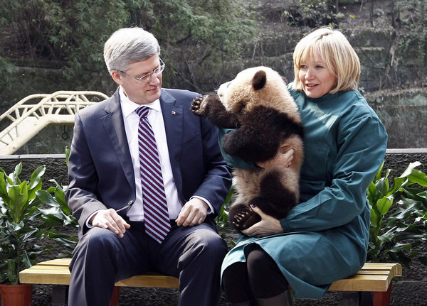 Harper wraps up China visit with panda pact