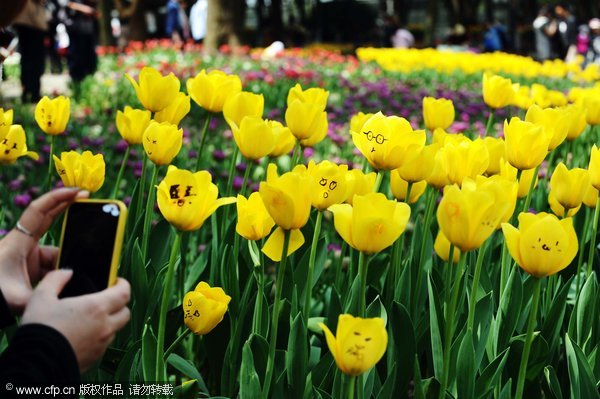 A tourist takes a picture of tulips scrawled with drawings at a park in Wuhan, April 3, 2012. Tulip graffiti blooms