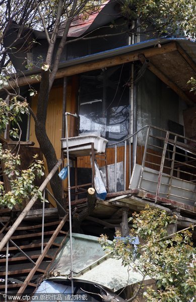 8,000 yuan tree house to be axed