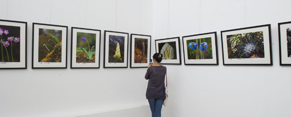 Photo exhibition showcases Tibet's biodiversity