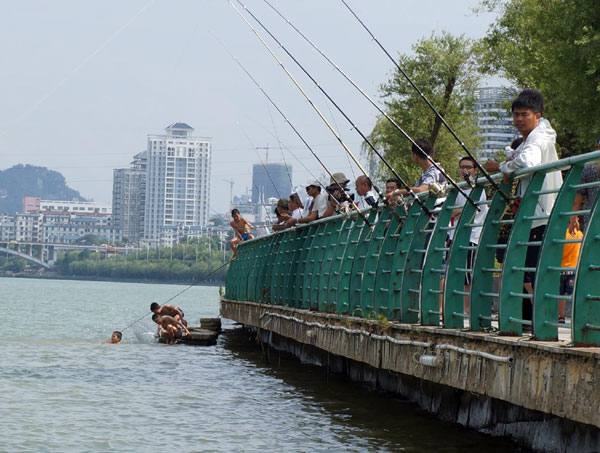 City on hunt for piranha in river