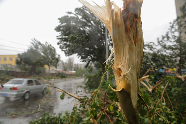 Deadly storm lashes NE China
