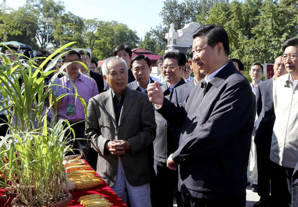 Xi calls for public food and health awareness