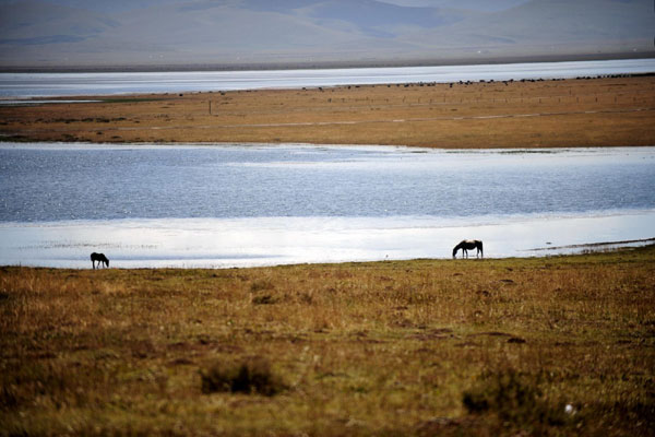 Gahai lake, the biggest freshwater lake in Northwest China’s Gansu province, Sept 13, 2012. Weekly Photos: Sept 10 - 16